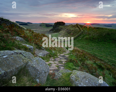 Der Roman Wall bei Sonnenaufgang mit Blick auf die aufgehende Sonne im Osten nahe Housesteads Roman Fort in Northumberland Stockfoto