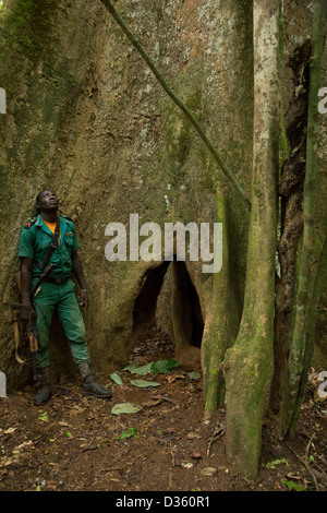 Kongo, 29. September 2012: eine Bi-nationale Gruppe von Ecoguards aus Kamerun und Gabun Patrouille auf der Suche nach Beweisen für Wildtiere Wilderei. Stockfoto