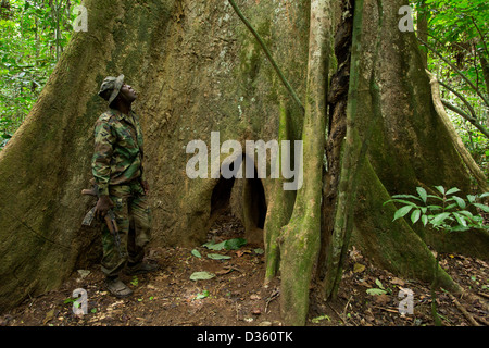 Kongo, 29. September 2012: eine Bi-nationale Gruppe von Ecoguards aus Kamerun und Gabun Patrouille auf der Suche nach Beweisen für Wildtiere Wilderei. Stockfoto