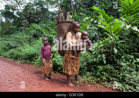 Kongo, 27. September 2012: A Bata (Zwerg) Frau trägt Brennholz in einen großen geflochtenen Korb dessen Gewicht sie auf Stirn und Rücken, Nord-West-Kongo hält. Stockfoto