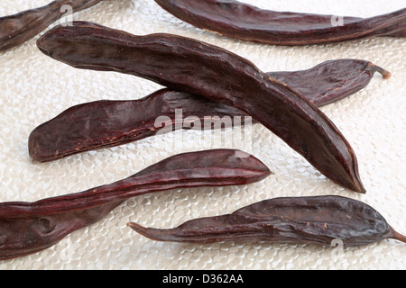 JOHANNISBROT SCHOTEN Stockfoto