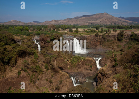 Blue Nile fällt, Bahir Dar, Äthiopien Stockfoto