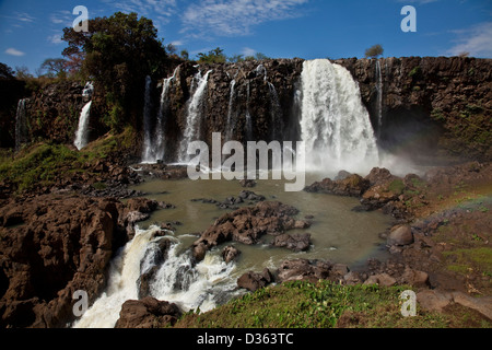 Blue Nile fällt, Bahir Dar, Äthiopien Stockfoto