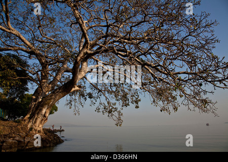 Frühmorgens am Tana-See, Bahir Dar, Äthiopien Stockfoto
