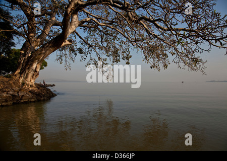 Frühmorgens am Tana-See, Bahir Dar, Äthiopien Stockfoto