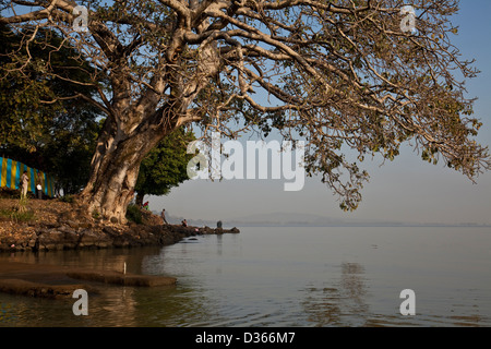 Frühmorgens am Tana-See, Bahir Dar, Äthiopien Stockfoto