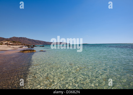 Die rosa und goldenen Sand von Elafonisi, Crete Stockfoto