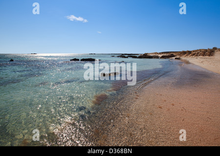 Die rosa Goldstrand von Elafonisi Kreta Stockfoto