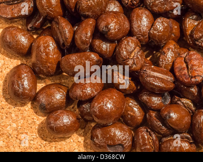 Frisch geröstete ganze Java Kaffeebohnen auf einem Kork-Tablett. Stockfoto