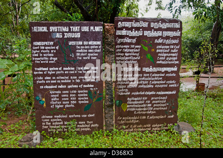Puducherry (Pondicherry) Indien Tamil Nadu Stockfoto