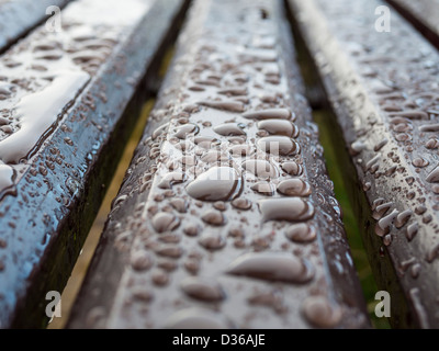 Regentropfen auf einer Parkbank in Schottland. Stockfoto