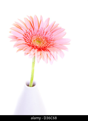 Schöne rosa Gerbera Blume in Vase isoliert auf weißem Hintergrund, niedliche Geschenk für Muttertag, romantisches Geschenk Stockfoto