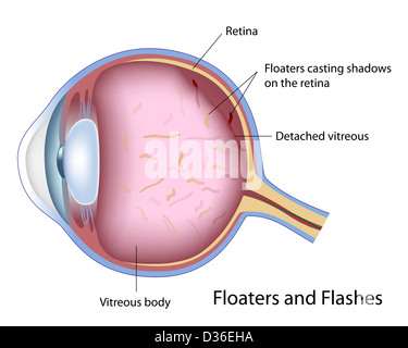 Floater und blinkt Stockfoto