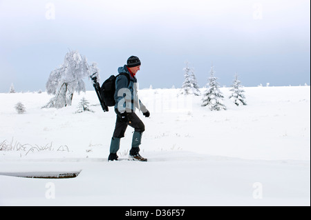 Wanderer, Wandern im Schnee bedeckt Moorland im Naturpark Hohes Venn / Hautes Fagnes in Winter, Ardennen, Belgien Stockfoto