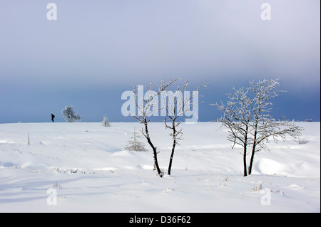 Einsame Wanderer Wandern im Schnee bedeckt Moorland im Naturpark Hohes Venn / Hautes Fagnes in Winter, Ardennen, Belgien Stockfoto