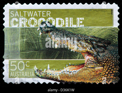 Salzwasser-Krokodil, Briefmarke, Australien, 2006 Stockfoto