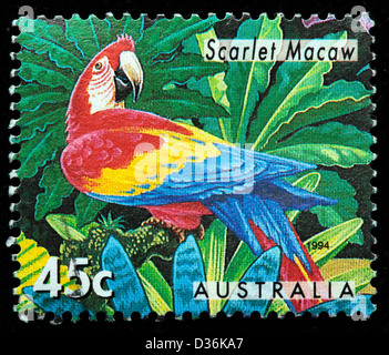 Hellroten Aras, Briefmarke, Australien, 1994 Stockfoto