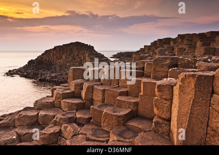 Hexangonal Basaltsäulen von Giants Causeway North Antrim Küste County Antrim Nordirland GB UK EU Europa Stockfoto