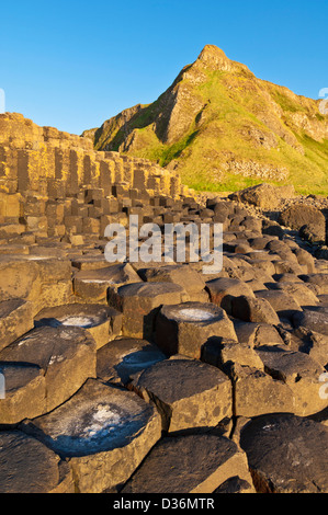 Hexangonal Basaltsäulen von Giants Causeway North Antrim Küste County Antrim Nordirland GB UK EU Europa Stockfoto