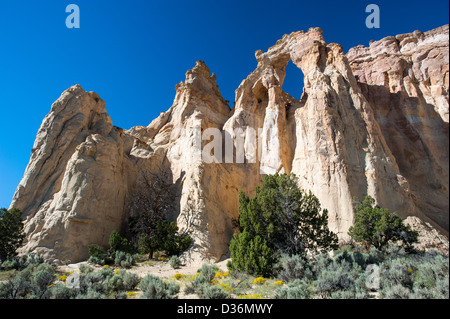 Grosvenor Arch, Grand Staircase National Monument, Utah, USA Stockfoto