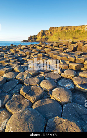 Hexangonal Basaltsäulen von Giants Causeway North Antrim Küste County Antrim Nordirland GB UK EU Europa Stockfoto