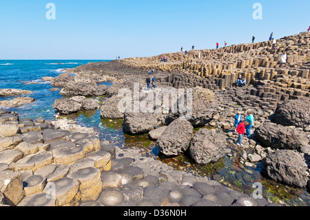 Menschen, die die Giants Causeway Küste von North Antrim County Antrim Nordirland GB UK EU Europa erkunden Stockfoto