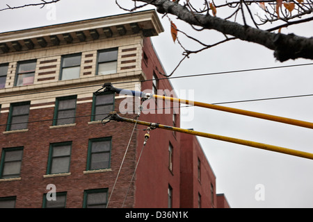 Obus Trolley Strommasten verbunden Aufwand elektrische Versorgung Adern Vancouver BC Kanada Stockfoto