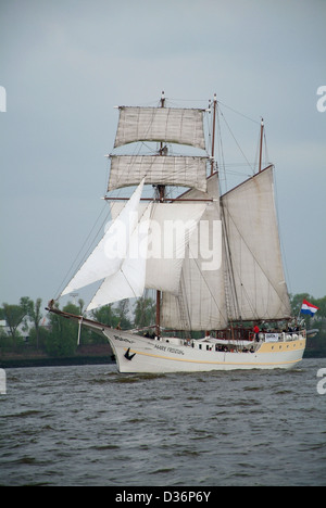 Hamburg, Deutschland, Dreimastschoners Mare Frisium Stockfoto