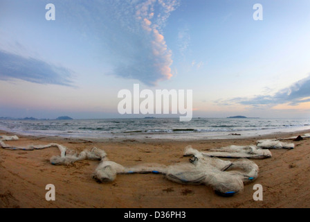 Panorama von einem Strand mit Fischen Netzwerke an einer Küste Stockfoto