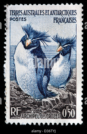 Rockhopper Penguins, Crozet-Archipel, Briefmarke, Französische Süd- und Antarktisgebiete, 1956 Stockfoto