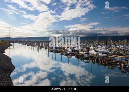 Charta und kommerziellen Fischerboote im Hafen, Homer, Alaska, USA Stockfoto