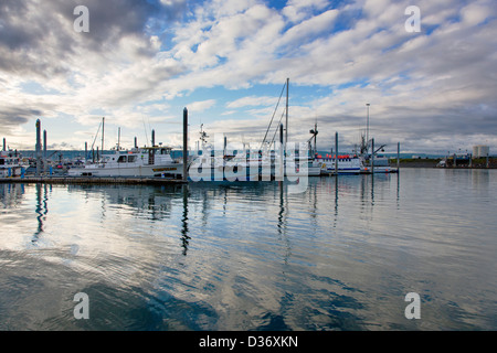 Charta und kommerziellen Fischerboote im Hafen, Homer, Alaska, USA Stockfoto