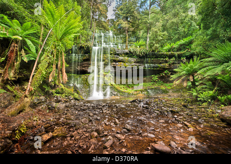 Die schöne und ruhige Russell fällt in Tasmaniens Mt Field National Park. Stockfoto