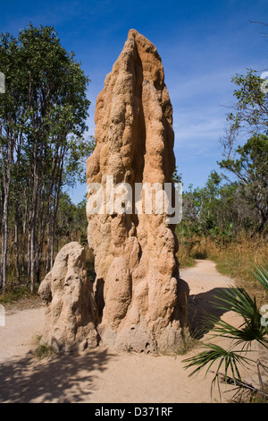 Riesige Termitenhügel, einige hoch aufragenden mehr als 4m (13ft), Litchfield Nationalpark, Northern Territory, Australien. Stockfoto