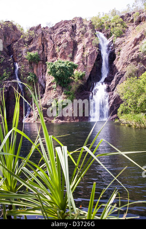 Wangi Falls, Litchfield Nationalpark, Northern Territory, Australien. Stockfoto