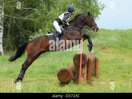 Pferd und Reiter sind einen Sprung auf eine 3-Tages-Vielseitigkeit, cross Country Springplatz navigieren. Stockfoto