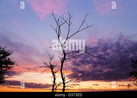 Blick auf den Sonnenuntergang in der Nähe von Gourvillette, Charente Maritime, Frankreich Stockfoto