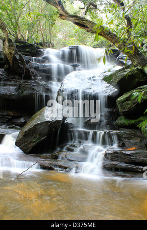 Lower Somersby Falls, Central Coast New South Wales Stockfoto