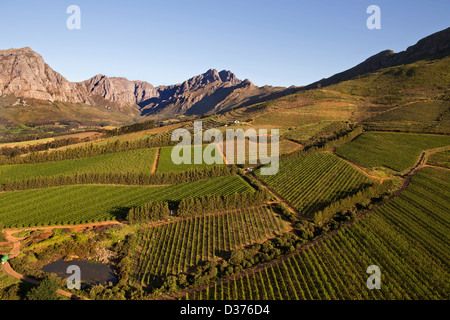 Landschaften der Cape Winelands und Weinbergen im western cape Stockfoto