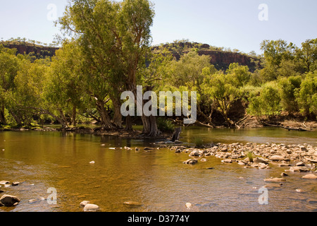 Victoria River, Gregory Nationalpark, Northern Territory, Australien Stockfoto