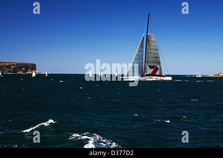 Hobart zu Sydney Racing Yacht segeln im sonnigen blauen Himmel im Hafen von Sydney Stockfoto