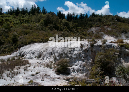 Goldenen Vlies Terrasse gehört zu den Bürgermeister Sehenswürdigkeiten der Orakei Korako oder Hidden Valley, eine hochaktive geothermische Gebiet. Stockfoto