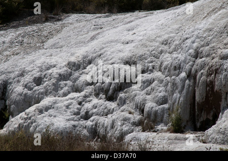 Goldenen Vlies Terrasse gehört zu den Bürgermeister Sehenswürdigkeiten der Orakei Korako oder Hidden Valley, eine hochaktive geothermische Gebiet. Stockfoto