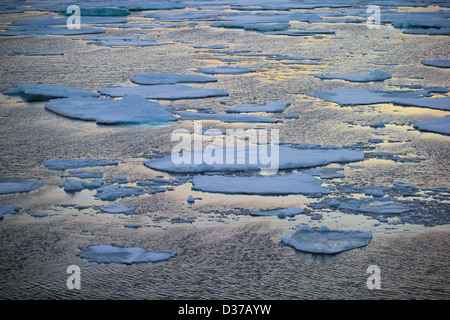 Pfannkuchen Sie-Eis-Nord Atlantik verpackt Eissegeln zwischen Spitzbergen und Grönland Stockfoto