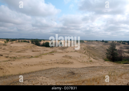 Desert Sands oder Oleshky Oleshky Wüste, die zweitgrößte Wüste Europas und das größte Sand in der Ukraine. Kherson Oblast, Ukraine Stockfoto