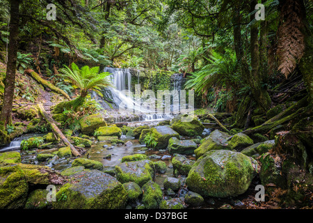 Der atemberaubende Lady kargen verliebt sich in die idyllische Mt Field Nationalpark Wildnis, Tasmanien, Australien. Stockfoto