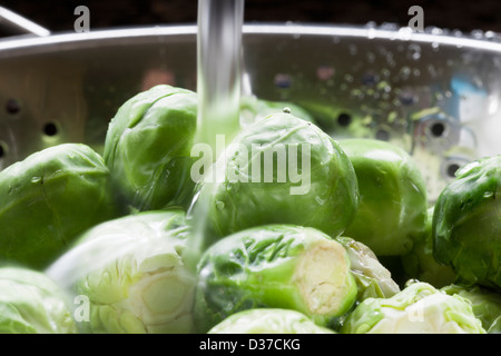 Nahaufnahme von Rosenkohl in Sieb gespült Stockfoto