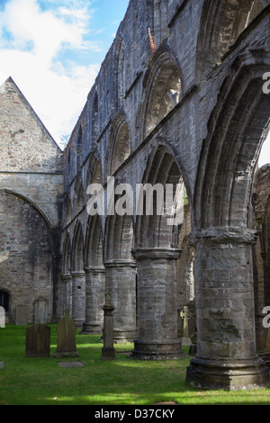 Dunkeld Kathedrale Schottland, Vereinigtes Königreich Stockfoto