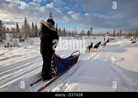 Huskies ziehen Schlitten entlang Schnee, Lappland Stockfoto