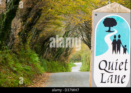 Einen schmalen Feldweg in der Nähe von Camelford in Cornwall Stockfoto